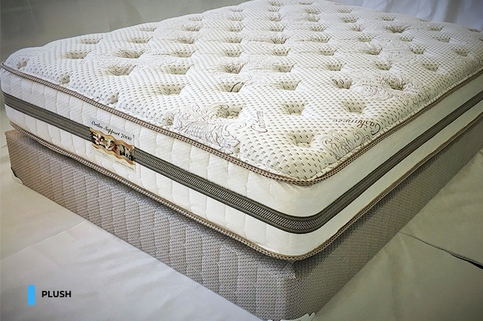 ortho mattress continental plush